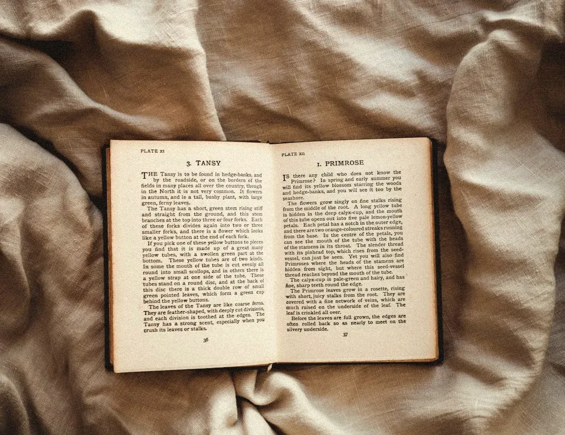 Livro antigo aberto sobre um tecido